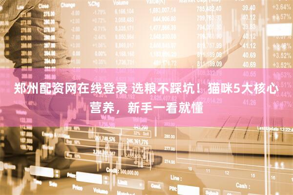 郑州配资网在线登录 选粮不踩坑！猫咪5大核心营养，新手一看就懂